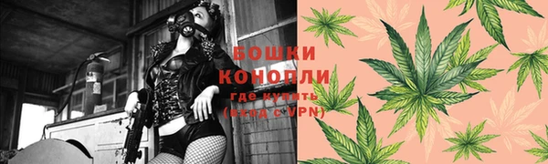 стаф Липки