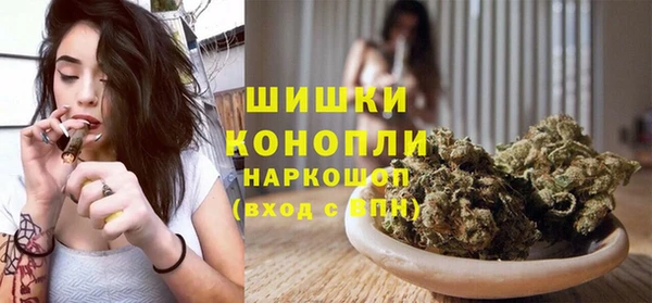 стаф Липки